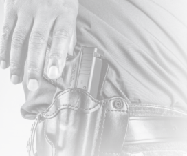 Licencia de Portacion de Armas de Fuego Oculta de la Florida - CWL (Individual)